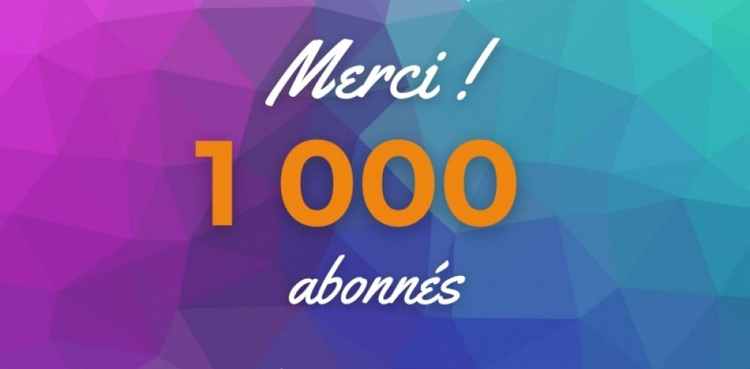 cover du contenu 1 000 abonnés DogFinance pour Delane SI !