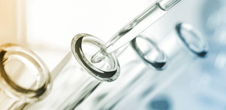 cover du contenu L’accord noué entre Pfizer et Donald Trump rassure tout le secteur pharmaceutique