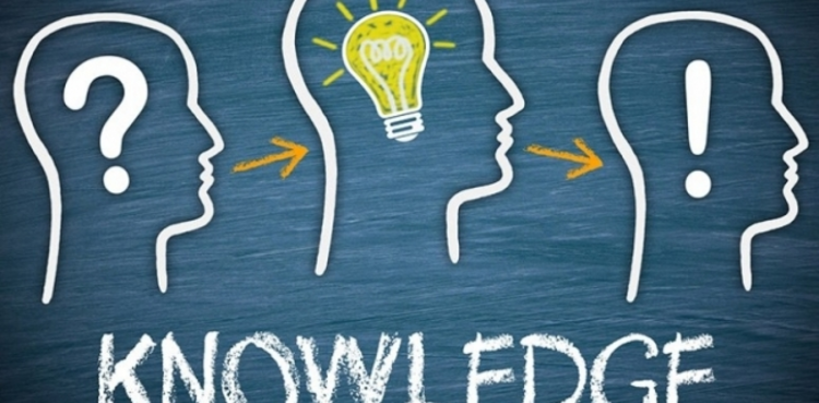 cover du contenu COMMENT BFG CAPITAL UTILISE LE KNOWLEDGE MANAGEMENT ? 