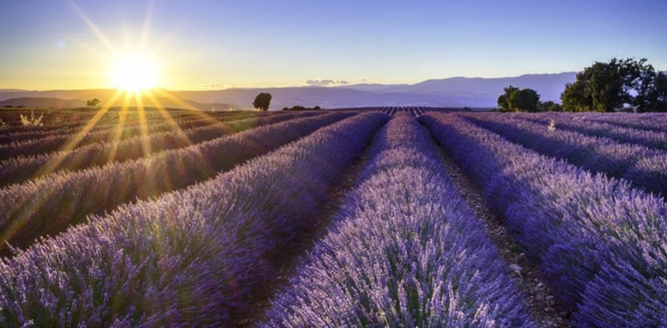 cover du contenu Crédit Agricole Assurances recrute des gestionnaires en Provence