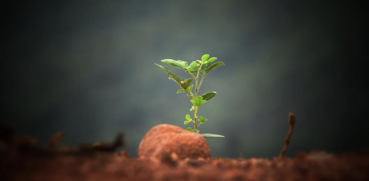 cover du contenu Crise du Covid-19 : Une occasion inédite de réorienter notre économie financiarisée vers l’économie réelle par les critères Environnementaux, Sociaux et de Gouvernance ?