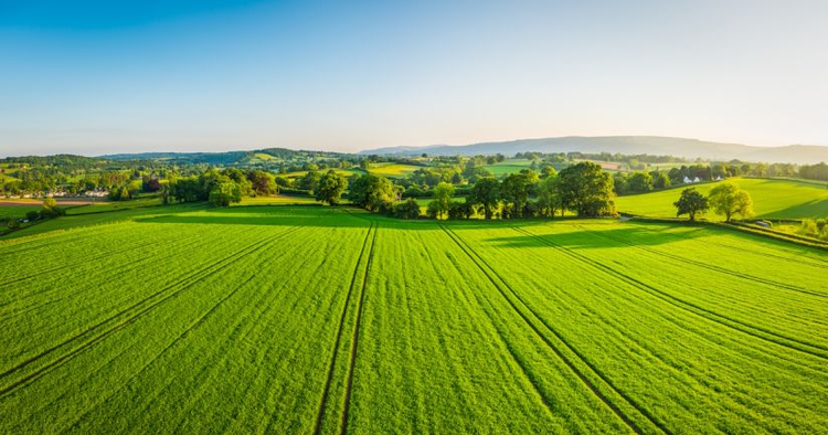 cover du contenu Des actions locales concrètes en faveur du climat et de la nature
