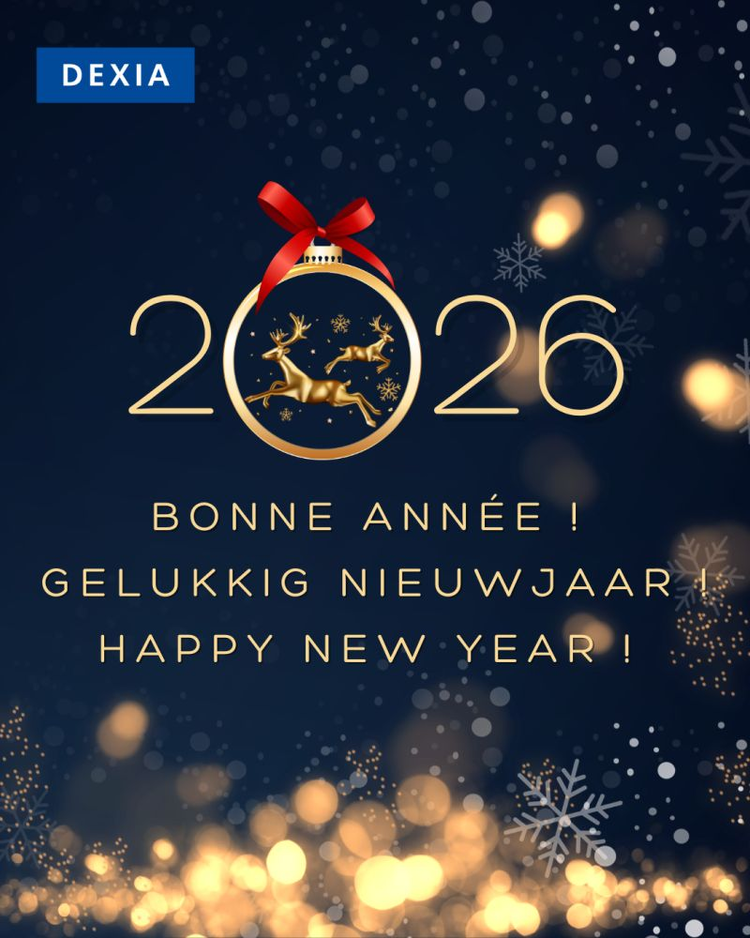 cover du contenu ✨ Dexia vous souhaite une très belle année 2️⃣ 0️⃣ 2️⃣ 6️⃣ !