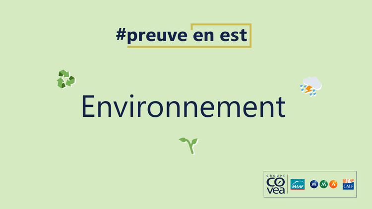 cover du contenu L’engagement environnemental chez Covéa 
