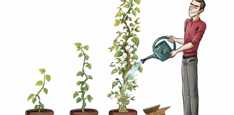 cover du contenu L’EURO-CROISSANCE : UN DISPOSITIF EN VOIE DE DÉVELOPPEMENT !