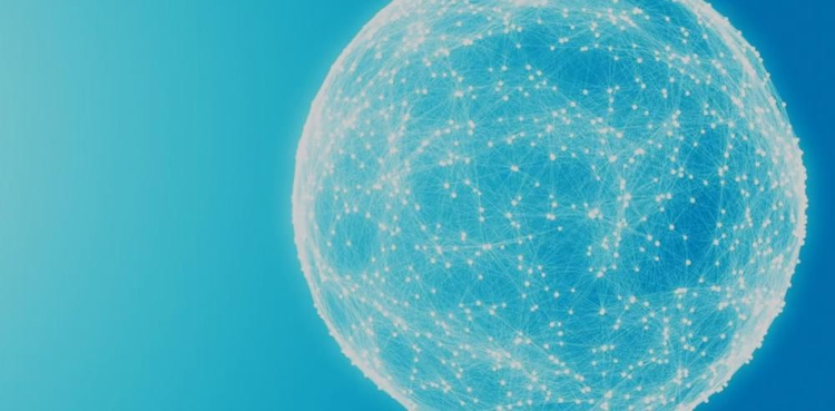 cover du contenu FAO Consulting : 2019, une année faste