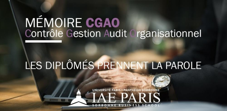 cover du contenu Impact de l’environnement réglementaire IFRS / Solvabilité 1 & 2 sur la communication financière des assureurs Laila Ahber et Takayuki Ohinata CGAO 2016/2017