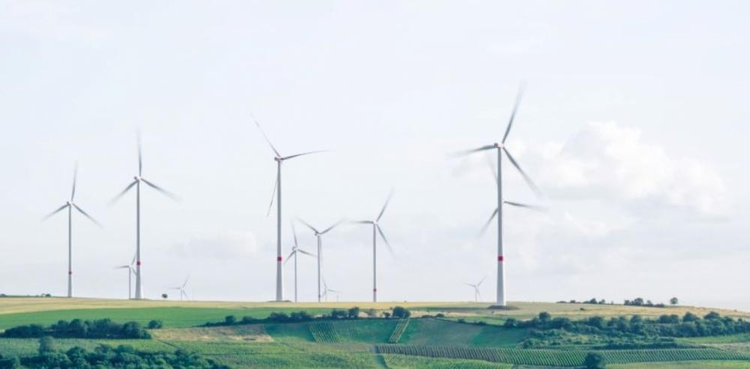 cover du contenu ISR, INVESTISSEMENT VERT ET DURABLE : QU’EST-CE-QUE C’EST ?