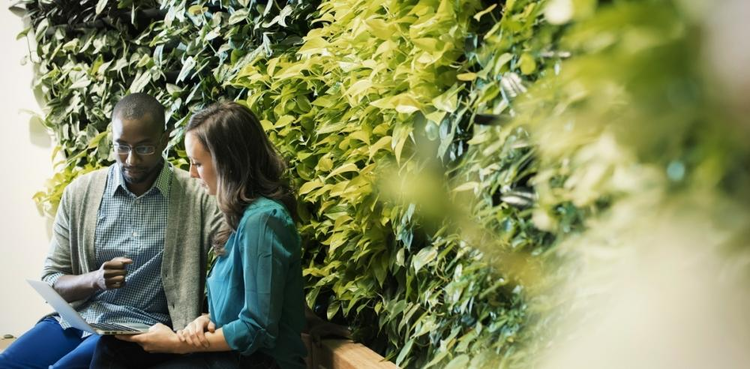 cover du contenu La fiscalité environnementale : atouts, contraintes et enjeux