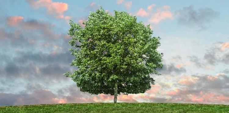 cover du contenu La Française s’engage encore et toujours plus en faveur du climat