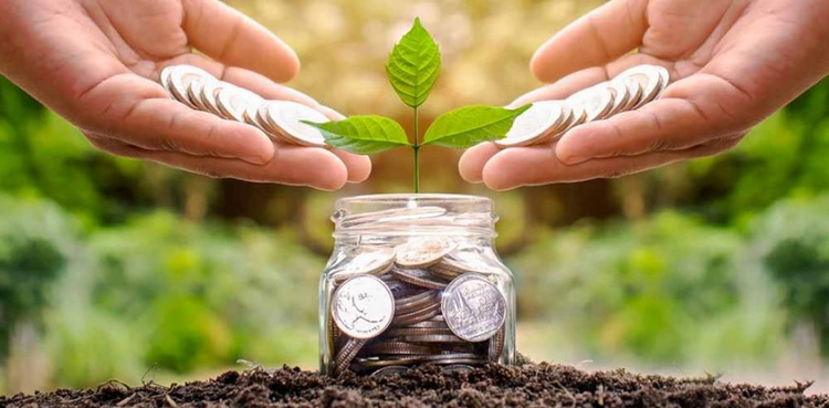 cover du contenu La réglementation peut-elle sauver la finance responsable ?