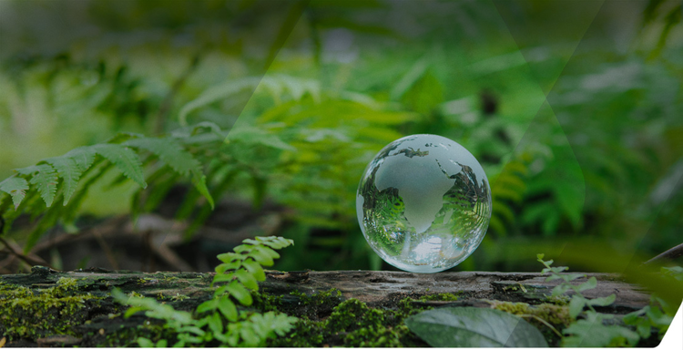 cover du contenu Les engagements du groupe MACSF en faveur du climat