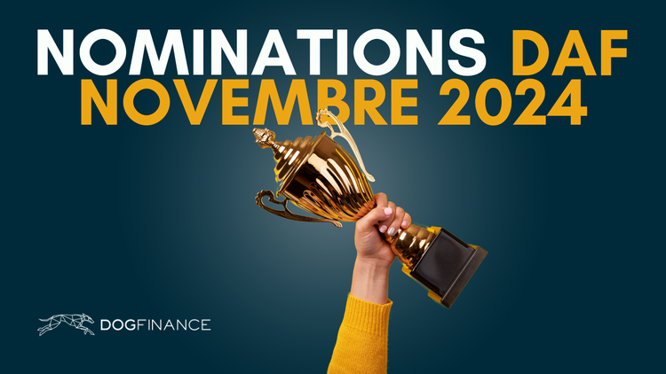 cover of content Les nominations DAF de novembre 2024