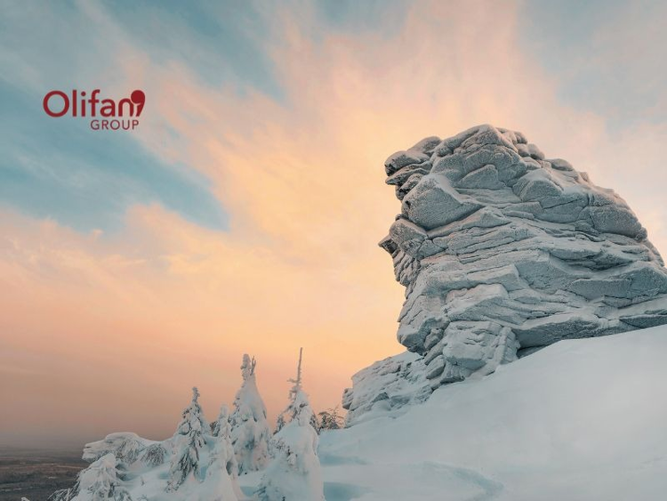 cover of content Lois de finances : à quoi s’attendre… et que faire !