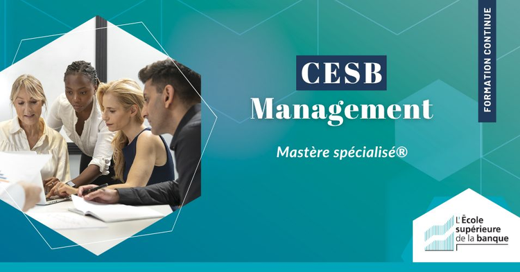 cover du contenu  Mastère Spécialisé® Senior Management Bancaire / CESB Management : Accélérez votre carrière de manager !