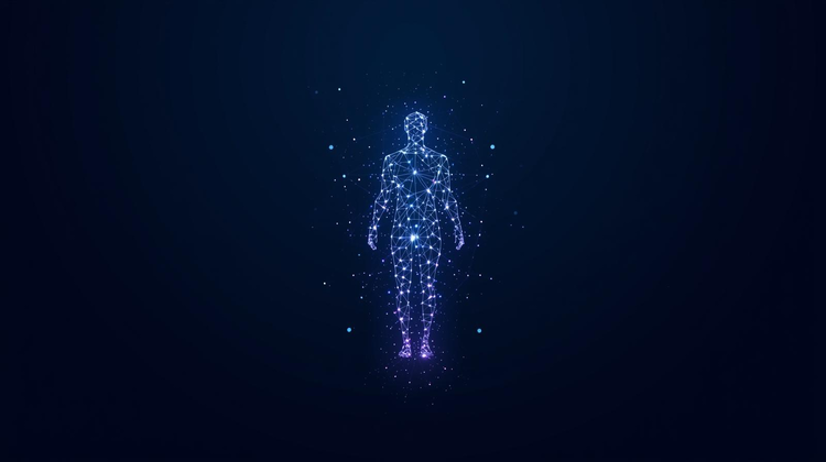 cover of content Networking : Arrêtez de collectionner des contacts, construisez des alliés