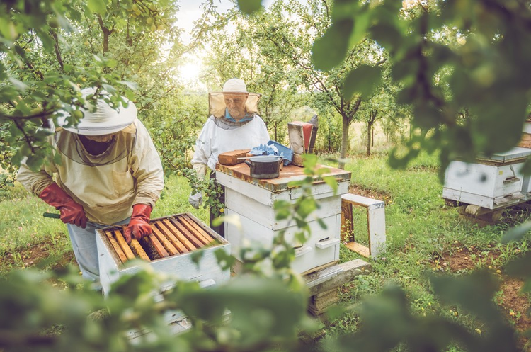 cover du contenu Notre avenir s’écrit ensemble : durable, engagé et responsable