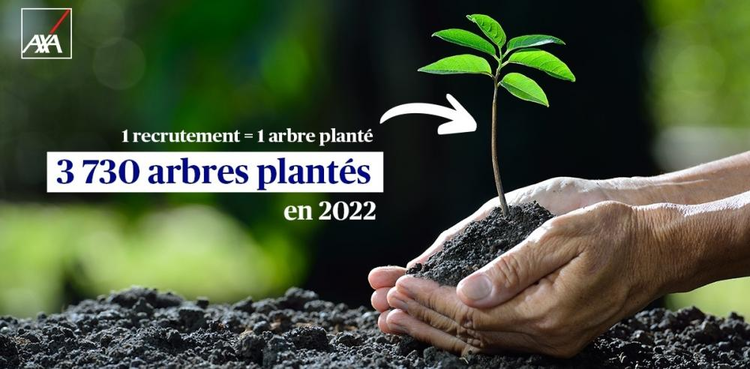 cover du contenu #OneAXA - Reforest’ Action : 3 730 arbres plantés en 2022
