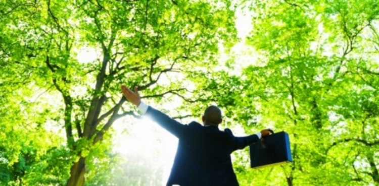 cover du contenu PRESS RELEASE: The Primonial group selects NeoXam Density to improve the Front to Middle Office process in its 3 Asset Management companies