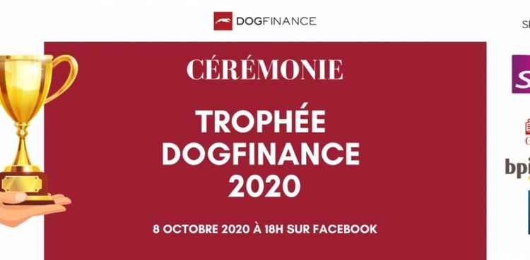 cover du contenu Qu'est-ce que le Trophée Dogfinance 2020 ?