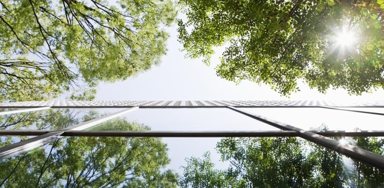 cover du contenu Quel futur pour l'Audit ?