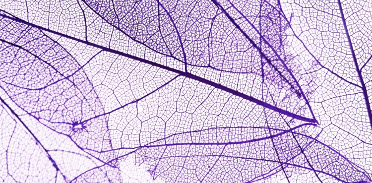 cover du contenu Rapport RSE 2019-2020 de Grant Thornton France