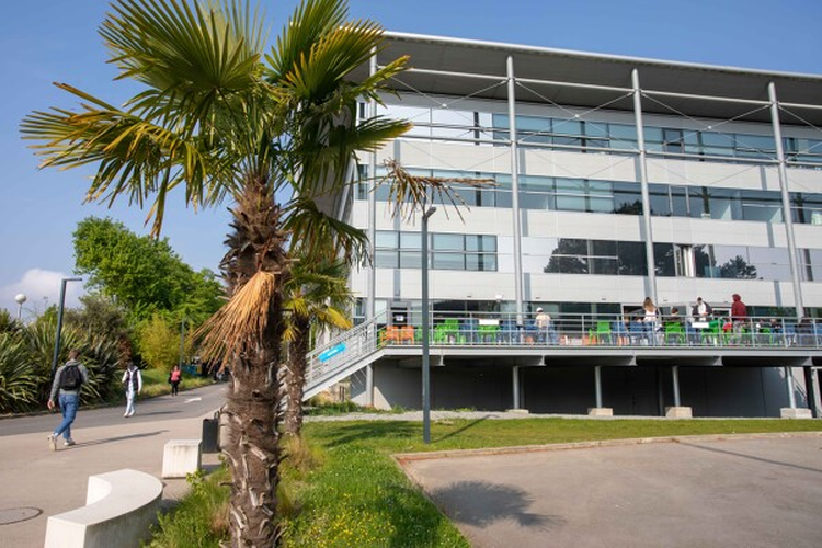 cover du contenu Rennes School of Business - TOP 3 des meilleures écoles de commerce pour étudier la finance !