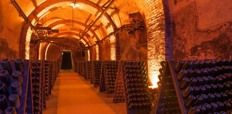 cover du contenu Secteur vitivinicole : La filière Champagne et la création de valeur…