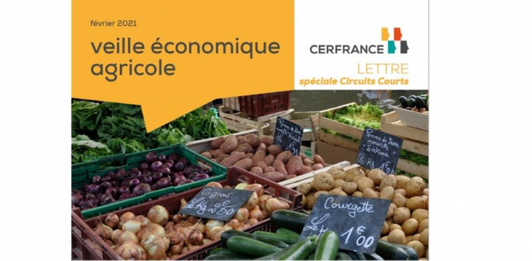 cover du contenu [VEILLE ECONOMIQUE] LES NOUVEAUX MARCHÉS DU VÉGÉTAL