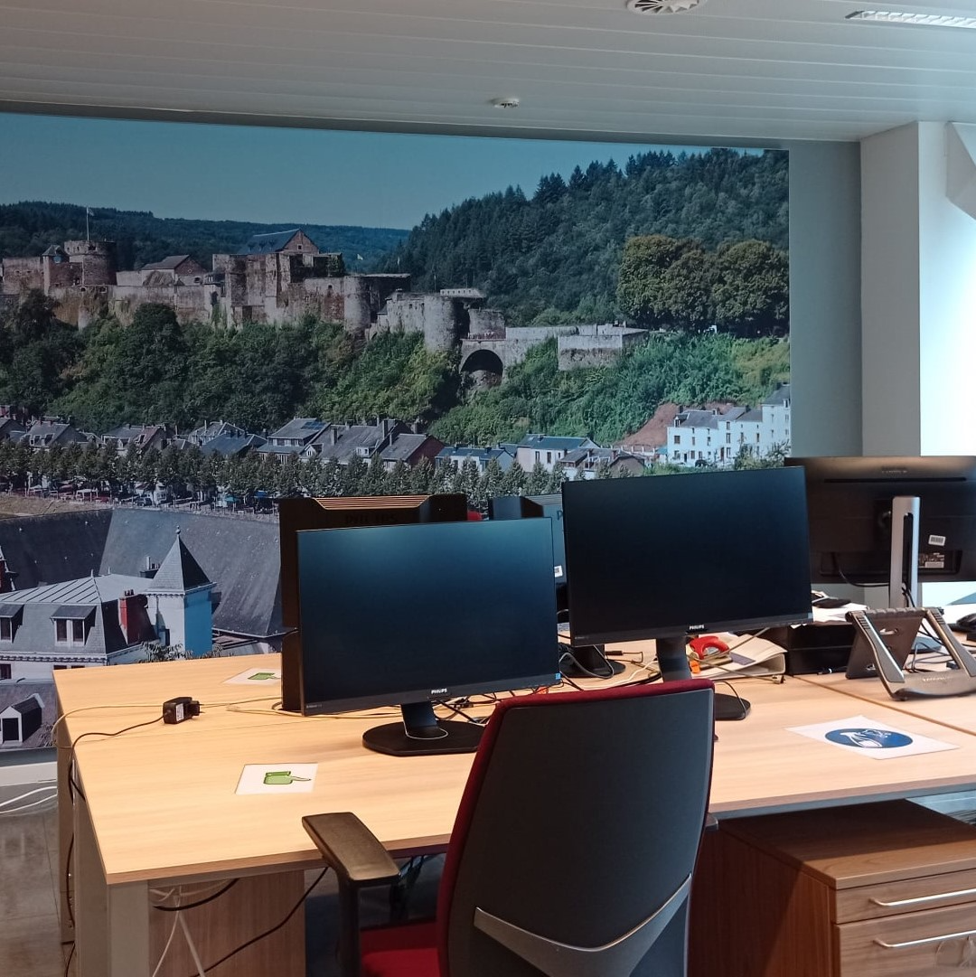 IT Project Manager - NL