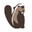 Dbeaver